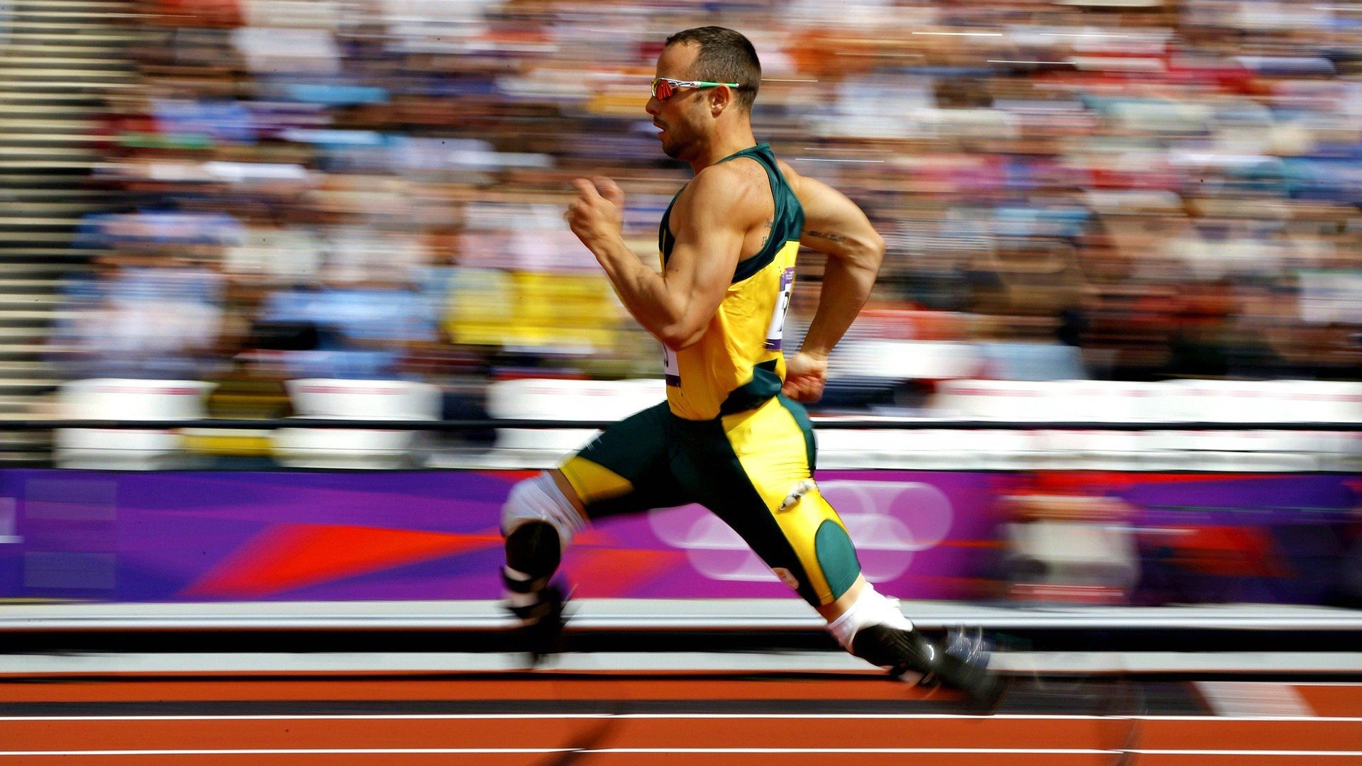 体育纪录片聚焦退役运动员创业经历,退役运动员现状