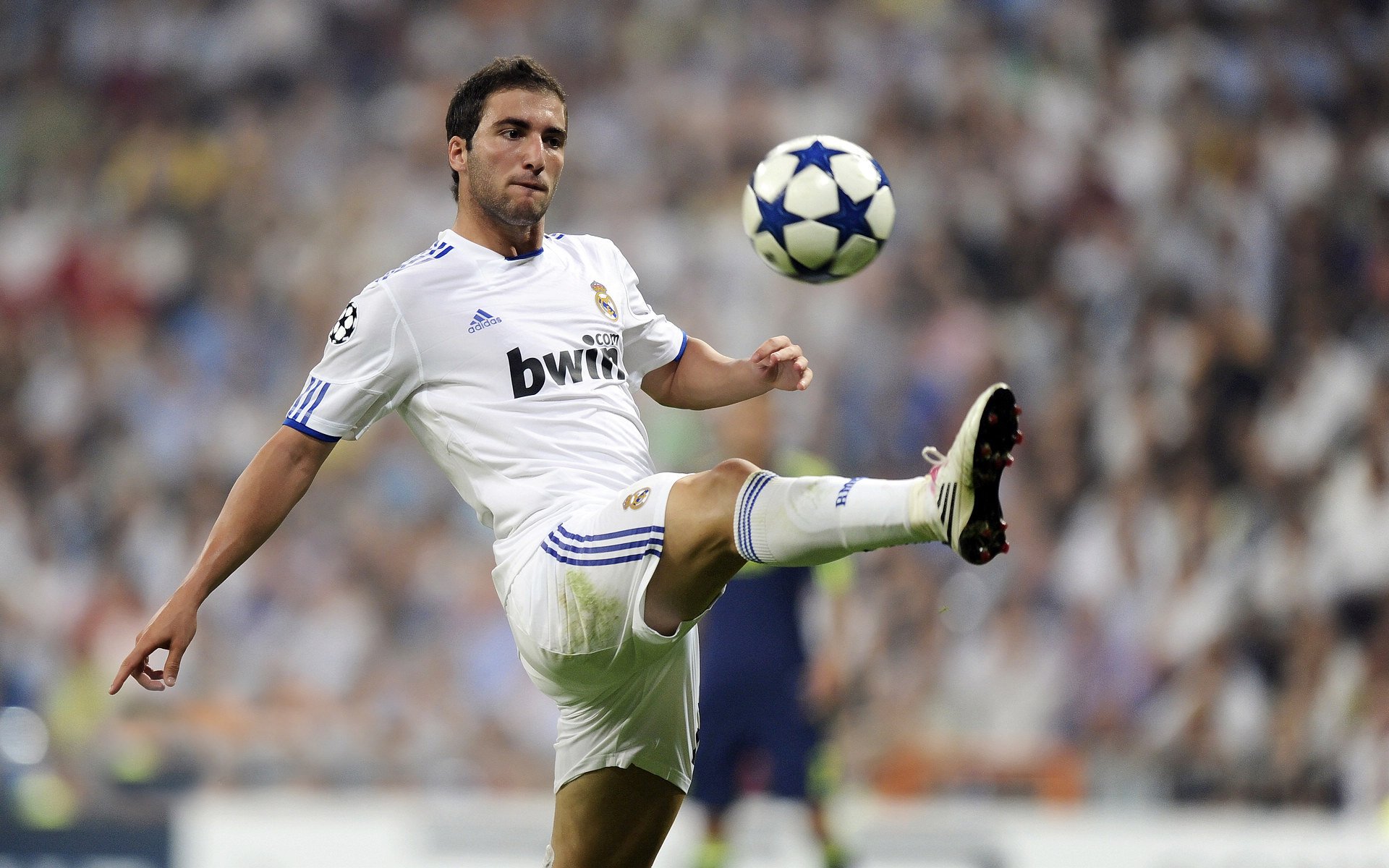 埃弗顿球迷组织开展慈善活动获好评,埃弗顿小球迷